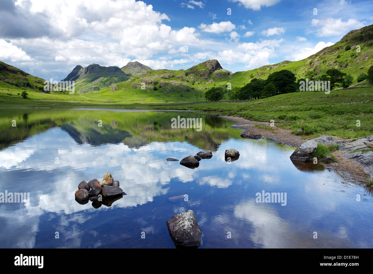 Blea Tarn et Langdale Pikes, Parc National de Lake District, Cumbria, Angleterre, Royaume-Uni, Europe Banque D'Images