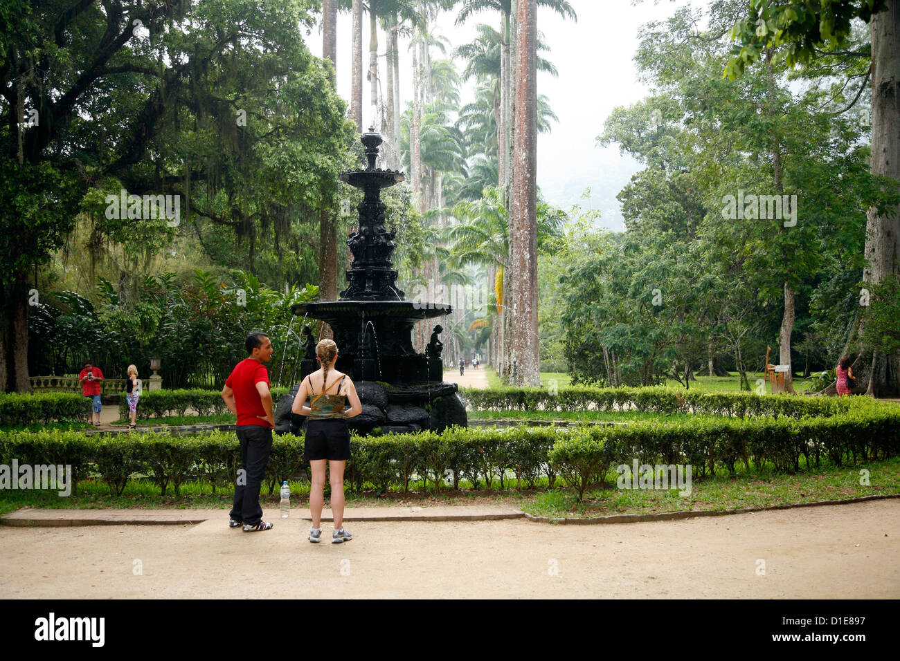 Jardim Botanico (Jardin Botanique), Rio de Janeiro, Brésil, Amérique du Sud Banque D'Images