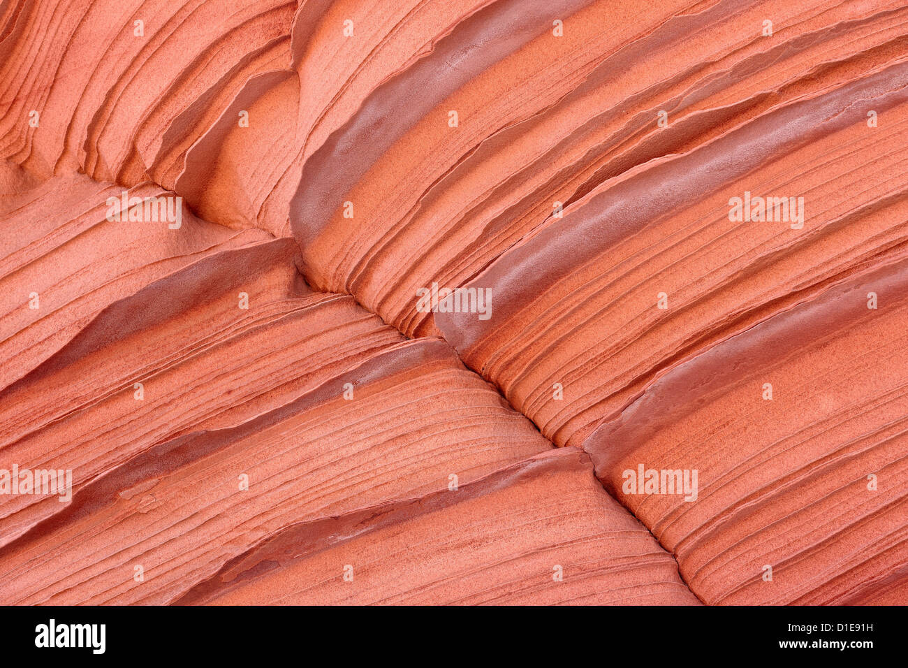 Les couches de grès, Vermillion Cliffs National Monument, Arizona, États-Unis d'Amérique, Amérique du Nord Banque D'Images