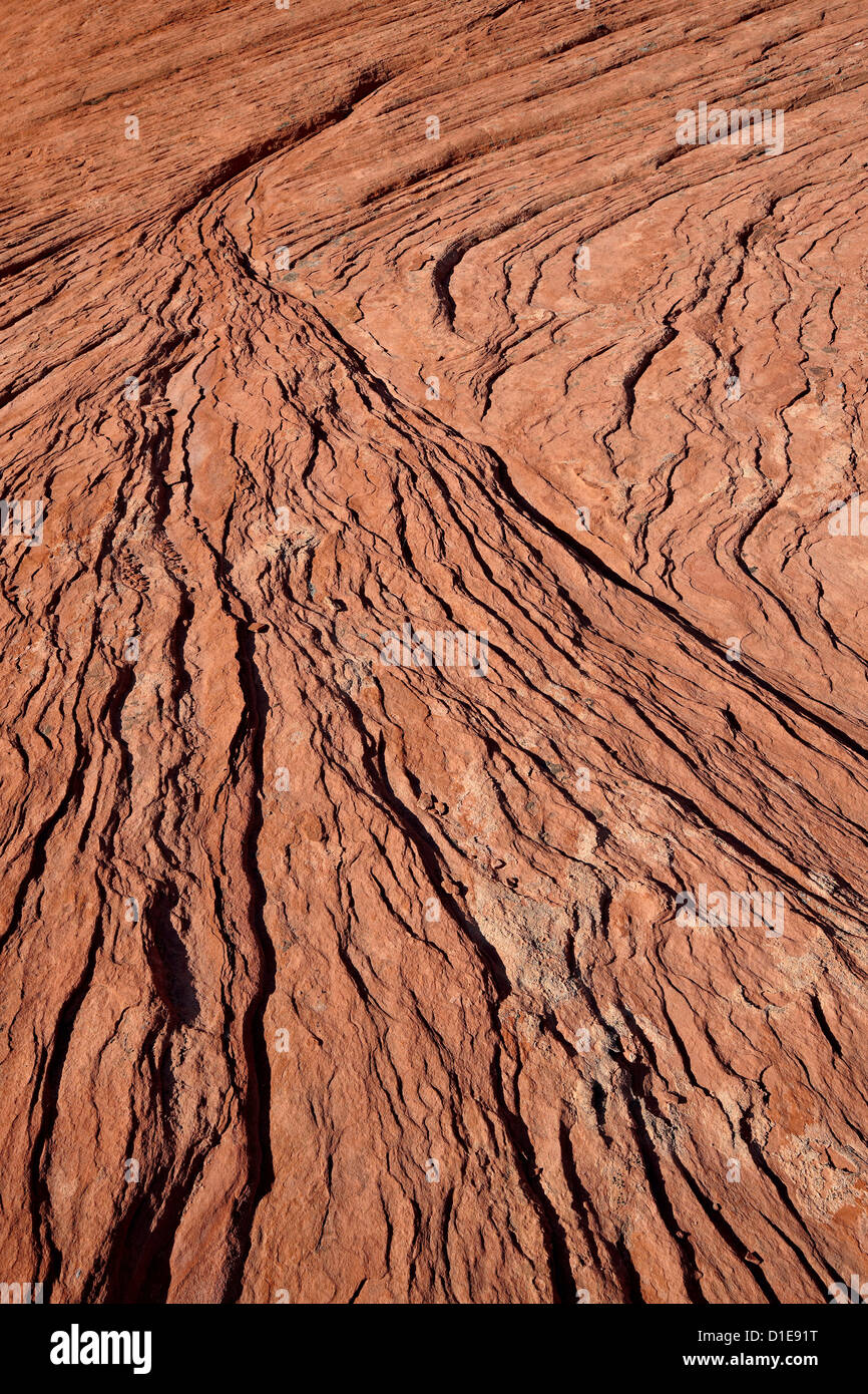 Les couches de grès érodé dans un ventilateur, Vallée de Feu Park, Nevada, États-Unis d'Amérique, Amérique du Nord Banque D'Images