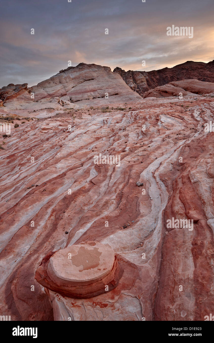 Les couches de grès rouge et blanc avec des nuages au coucher du soleil, la Vallée de Feu State Park, Nevada, United States of America Banque D'Images