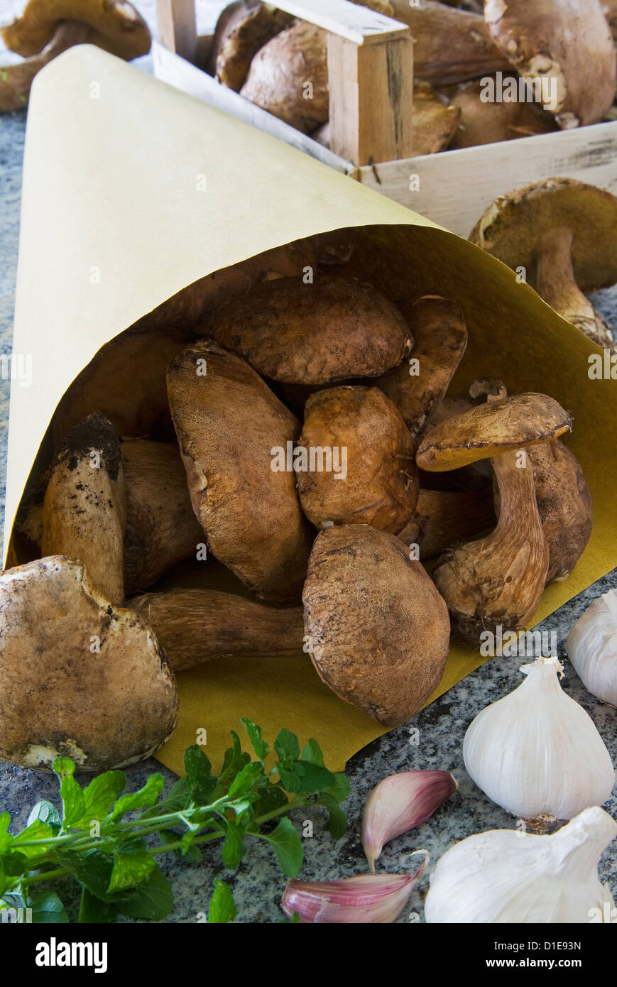 Champignons cèpes (Boletus edulis) dans un sac et dans une boîte en bois, Italie, Europe Banque D'Images