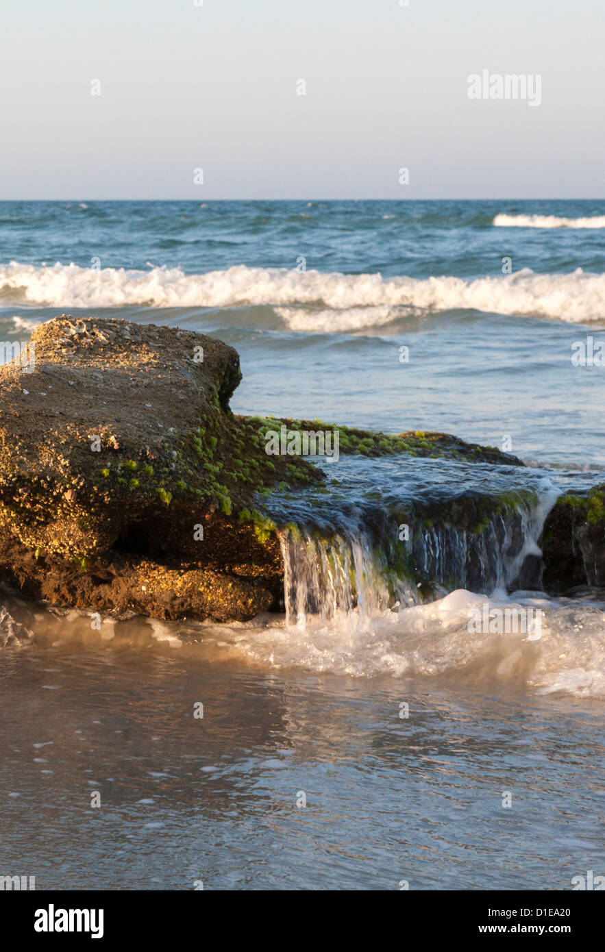 Coquina rock formations le long des côtes de l'océan Atlantique à Washington Oaks Gardens State Park en Floride, USA Banque D'Images