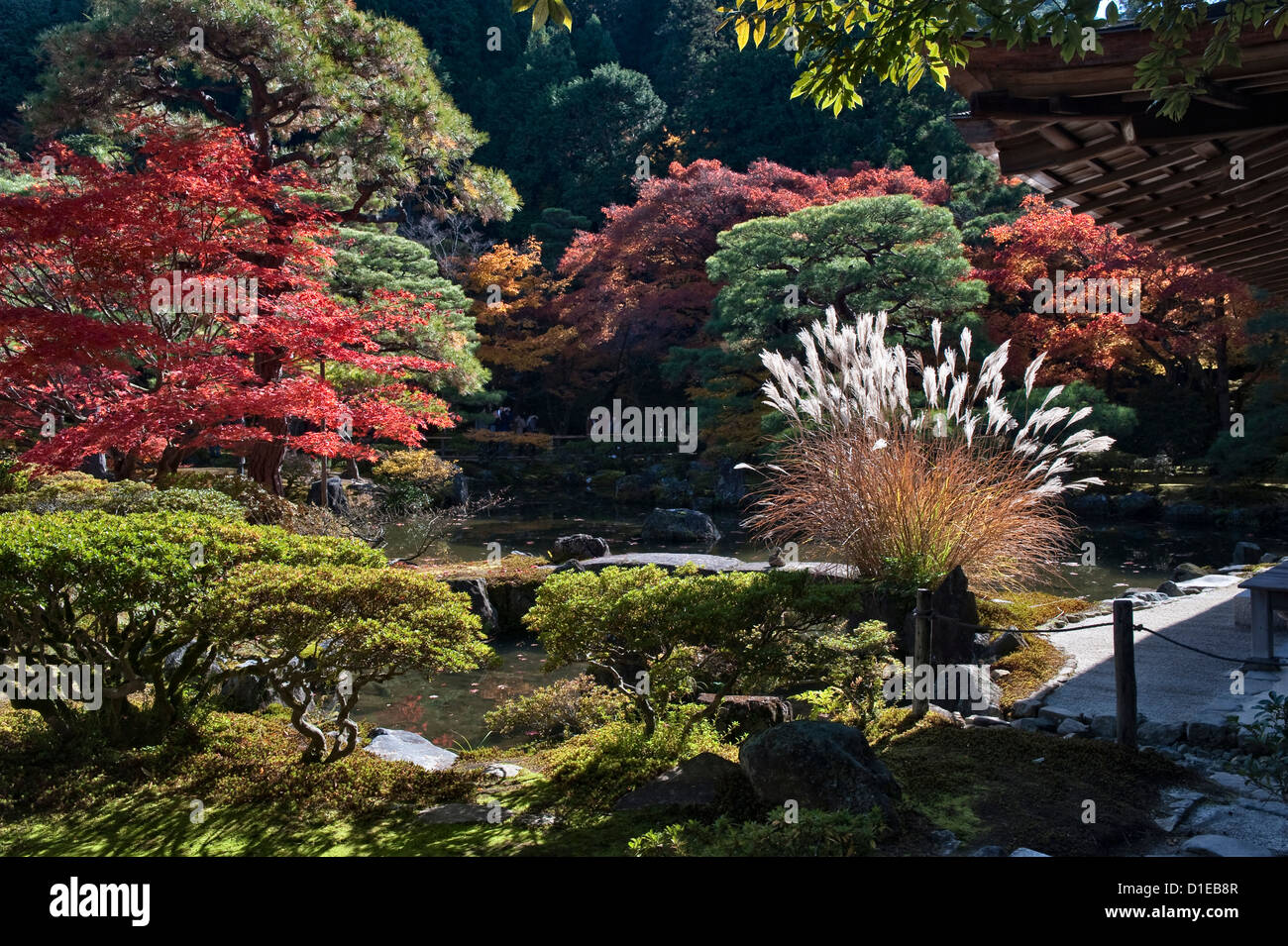 Feuillage d'automne dans les jardins entourant le temple Ginkaku-ji (Jisho-ji ou le Pavillon d'argent) à Kyoto, Japon Banque D'Images