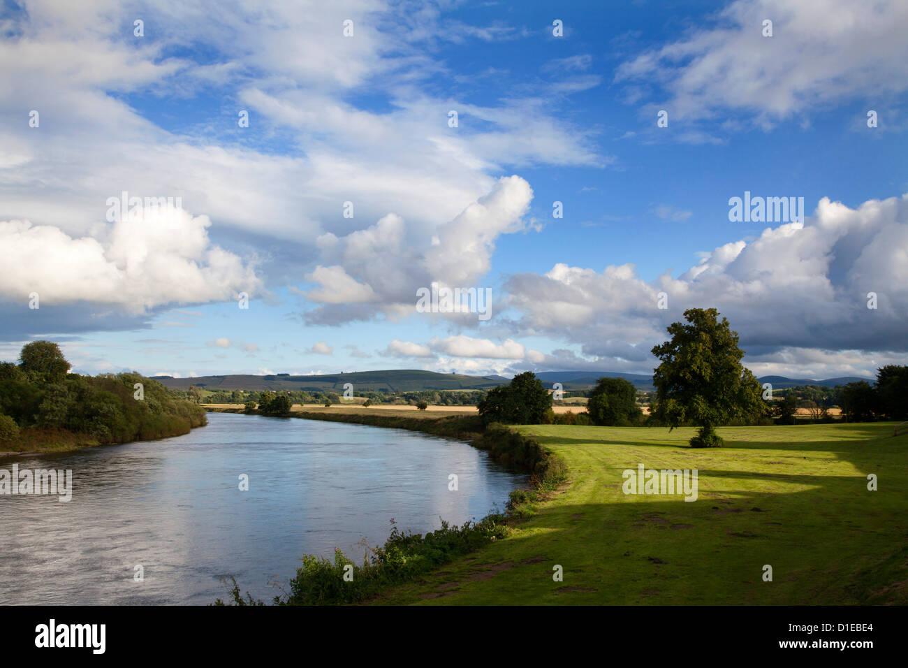 Avec la rivière Tweed Cheviots au-delà de Henderson Park de Coldstream, Scottish Borders, Scotland, Royaume-Uni, Europe Banque D'Images