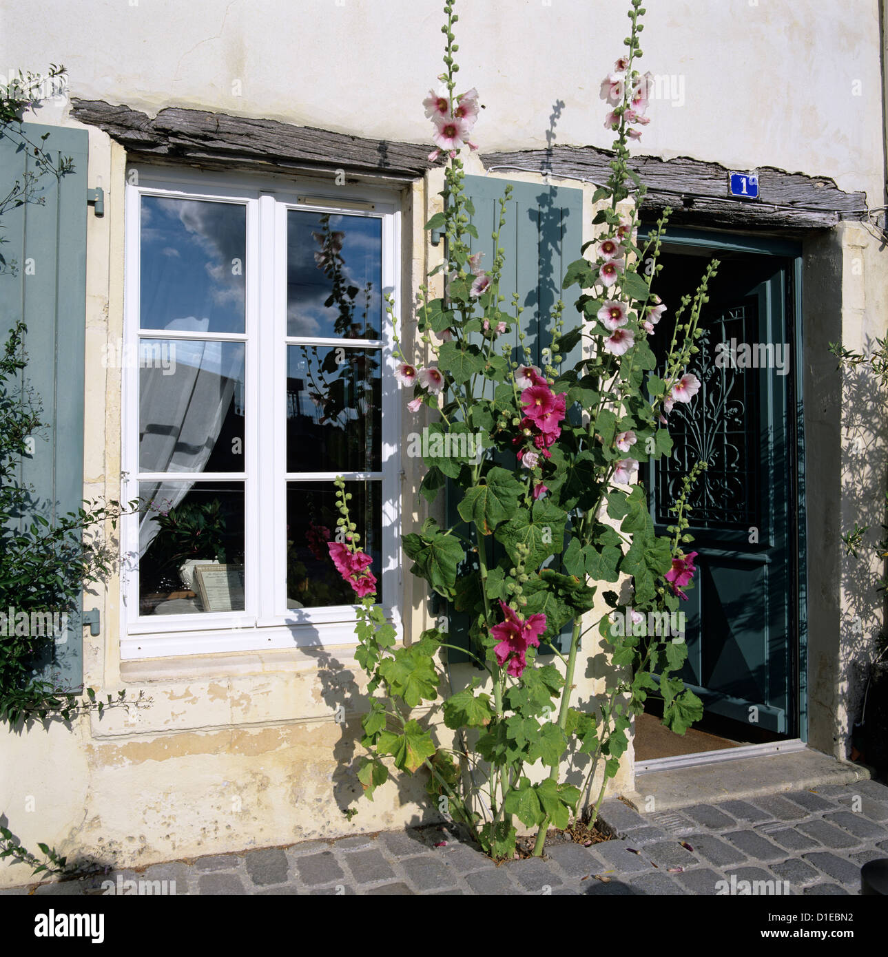 Scène typique de fenêtres à volets et roses trémières, Saint Martin, Ile de Ré, Poitou-Charentes, France, Europe Banque D'Images