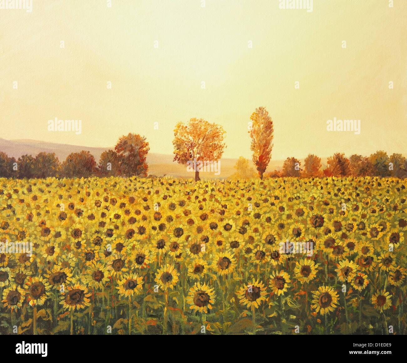 Une peinture à l'huile sur toile d'un paysage rural coucher du soleil avec un champ de tournesol doré éclairé par la chaude lumière du soleil couchant. Banque D'Images