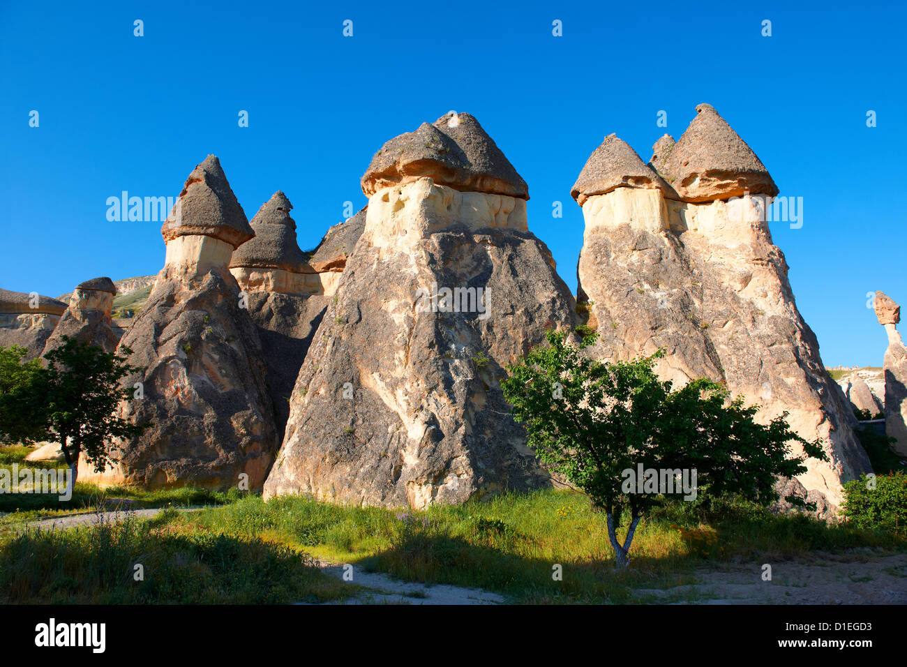 Des formations de roche volcanique de Cappadoce Turquie touffe Banque D'Images