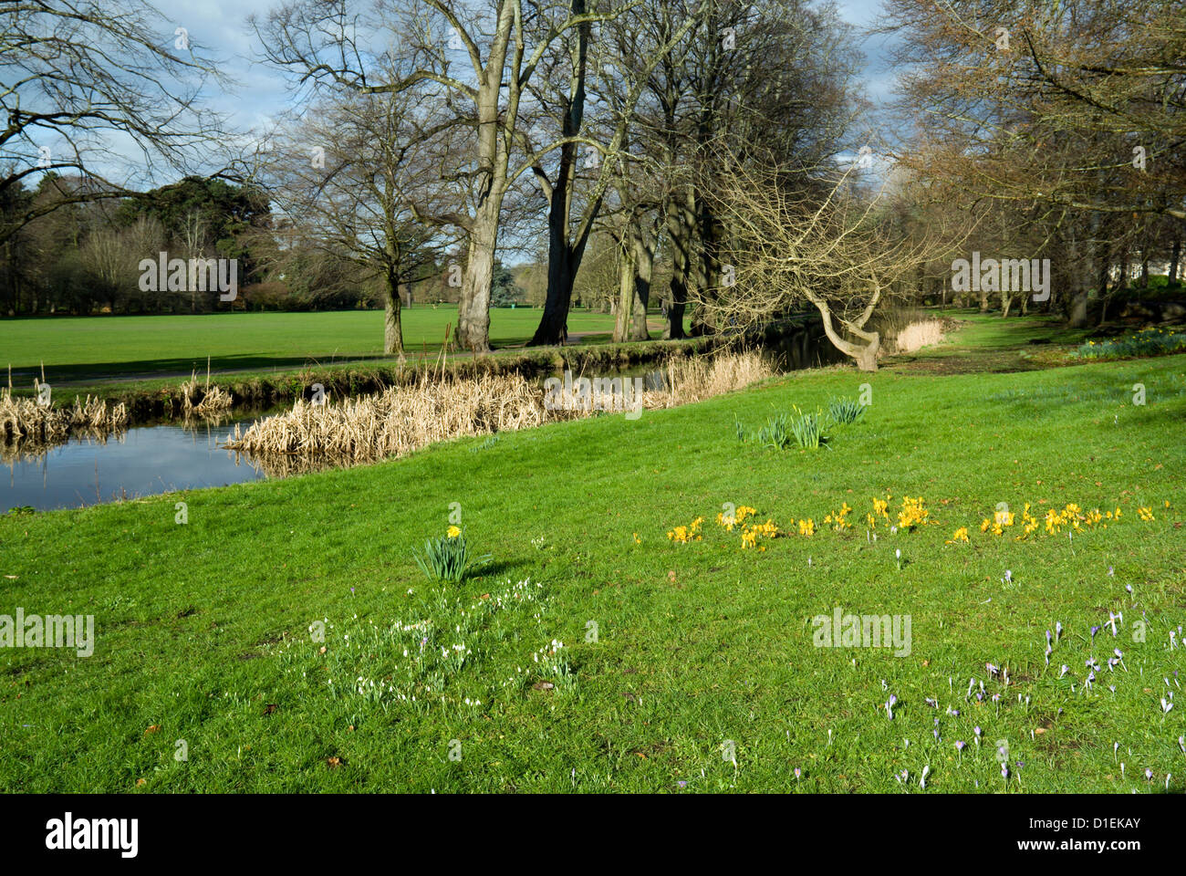 Canal d'alimentation, Bute Park, Cardiff, Pays de Galles du Sud. Banque D'Images