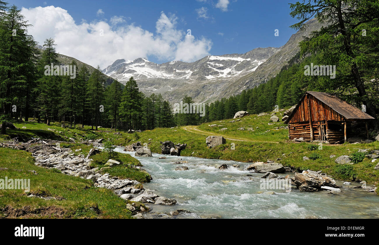 River et de pins dans la vallée, Hohe Tauern, Tyrol, Autriche Banque D'Images