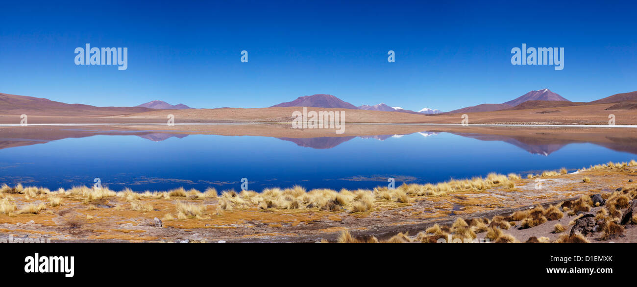 Laguna Canapa, Eduardo Avaroa Parc National, la Bolivie, l'Amérique du Sud, Amérique Latine Banque D'Images
