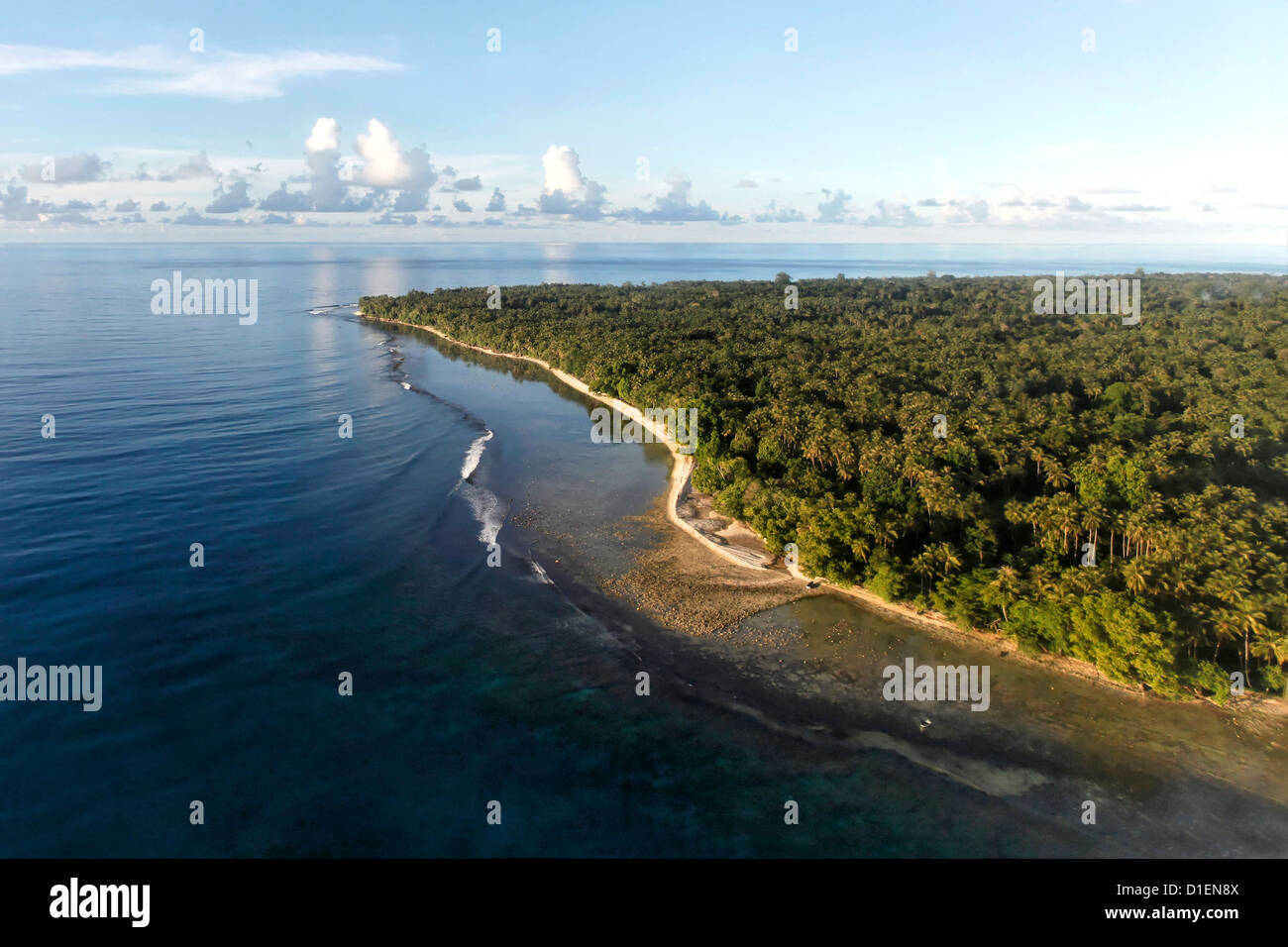 Côte de Nouvelle Irlande avec plage et palmiers, Papouasie Nouvelle Guinée Banque D'Images