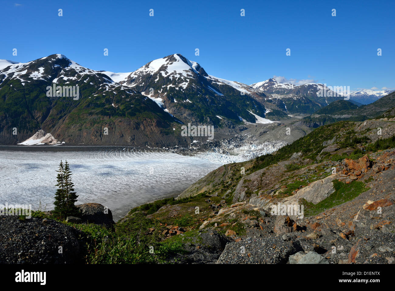 À l'est le long du bras de l'Est du glacier Salmon Banque D'Images