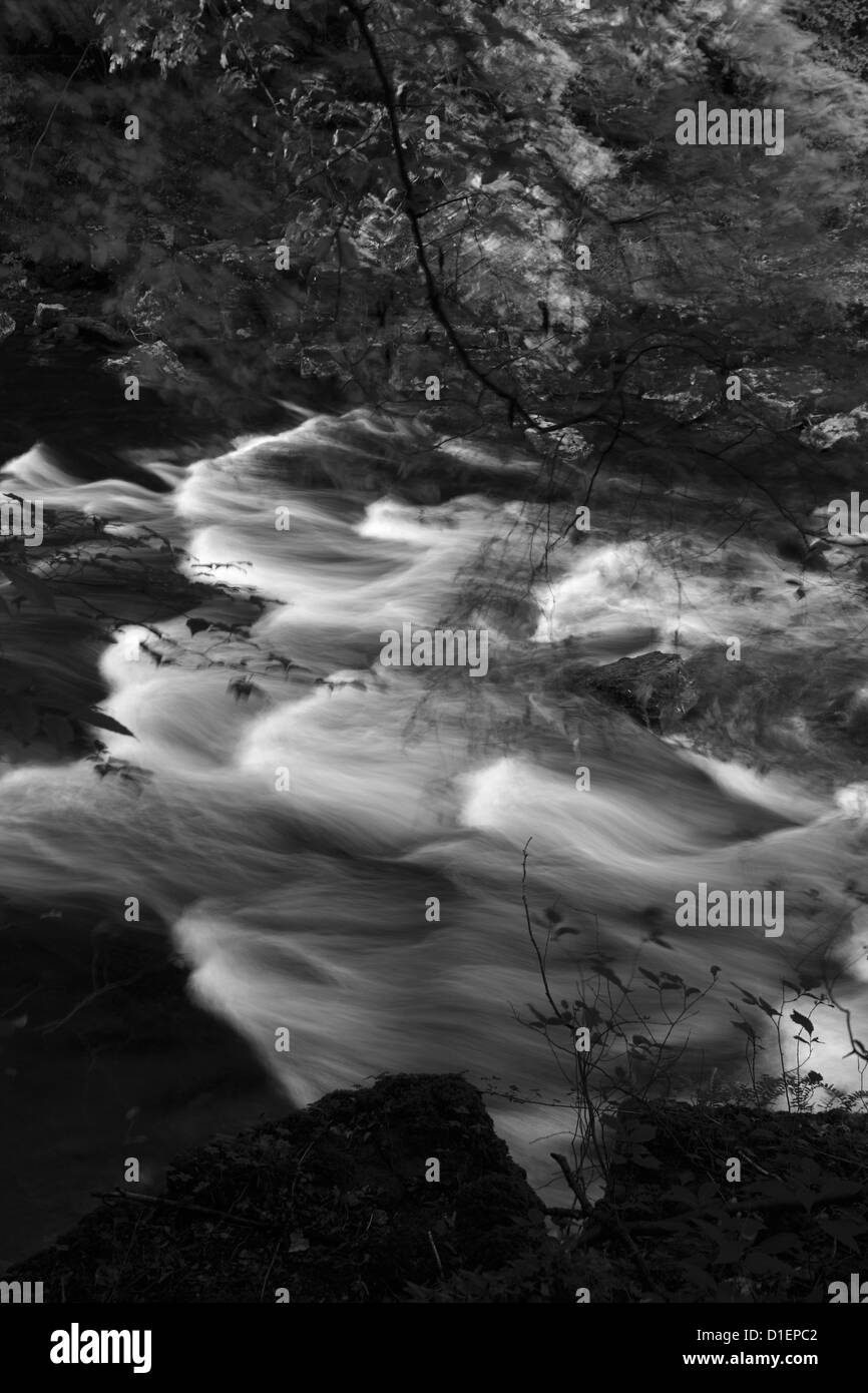 Image panoramique en noir et blanc, la Rivière Tees, Barnard Castle, Upper Teesdale, comté de Durham, Angleterre, Grande-Bretagne, Royaume-Uni Banque D'Images