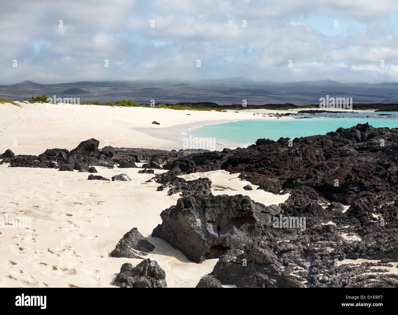Plage de sable fin sur les îles Galapagos Banque D'Images