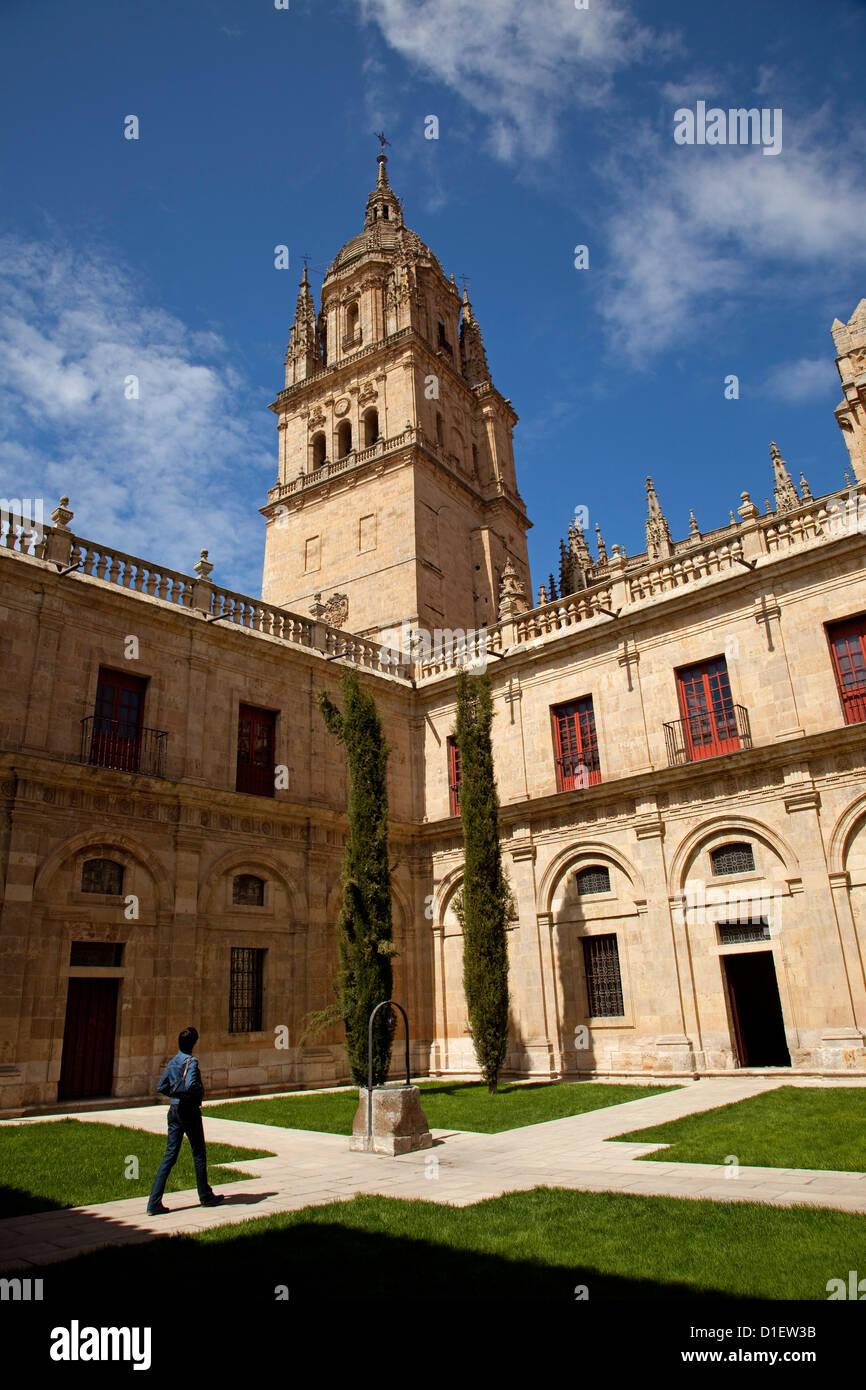 La tour de la cathédrale et cloître Salamanca Castilla Leon Espagne Banque D'Images La tour de la cathédrale et cloître Salamanca Castilla Leon Espagne Banque D'Images