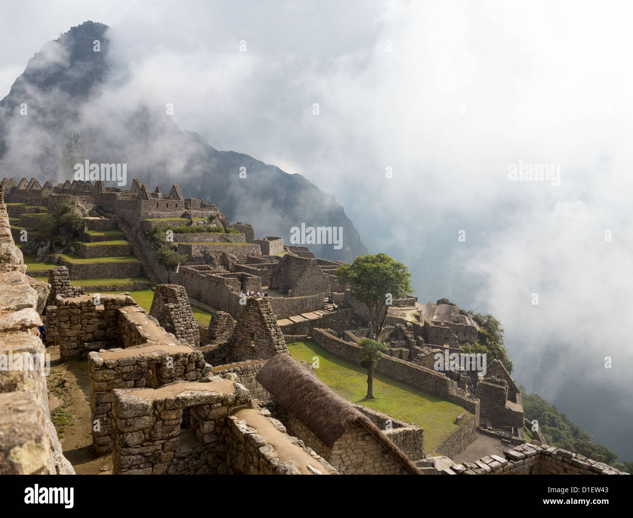 Brume du matin passant de la vallée sur le Machu Picchu, Pérou Banque D'Images