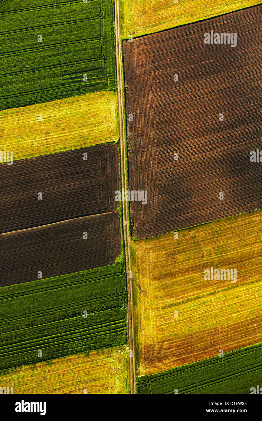 Les champs de couleur, en Allemagne du sud, vue aérienne Banque D'Images