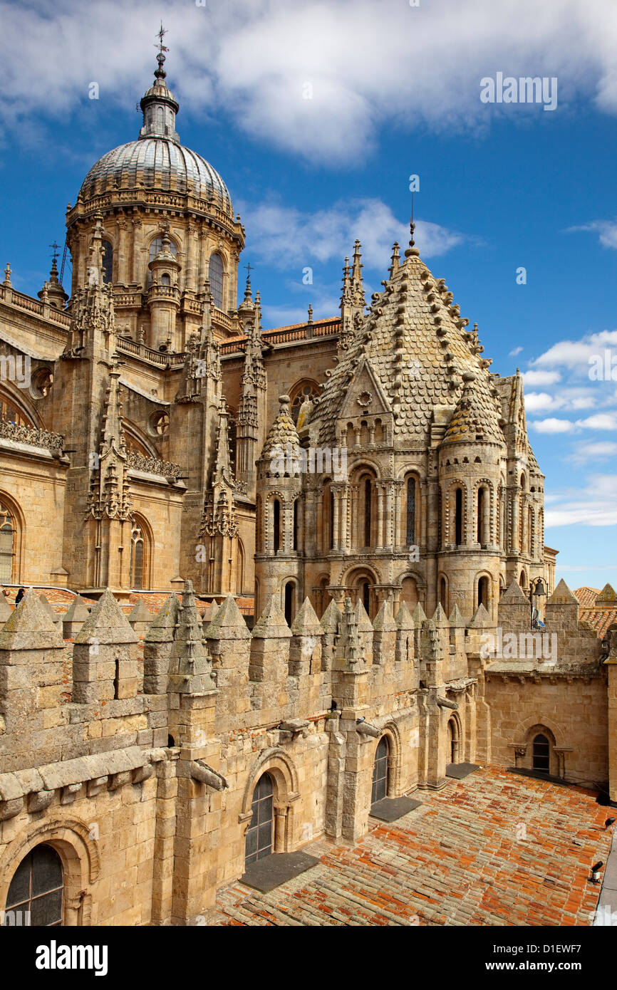 Ancienne Cathédrale Salamanque Castille Leon Espagne Banque D'Images Ancienne Cathédrale Salamanque Castille Leon Espagne Banque D'Images