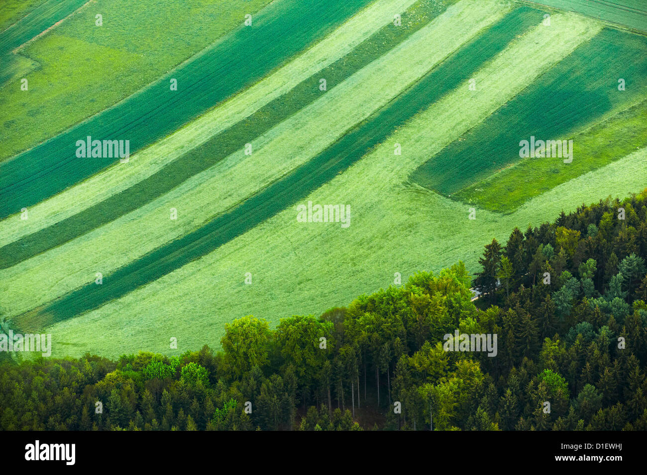 Champs, prés et forêts, aerial photo Banque D'Images