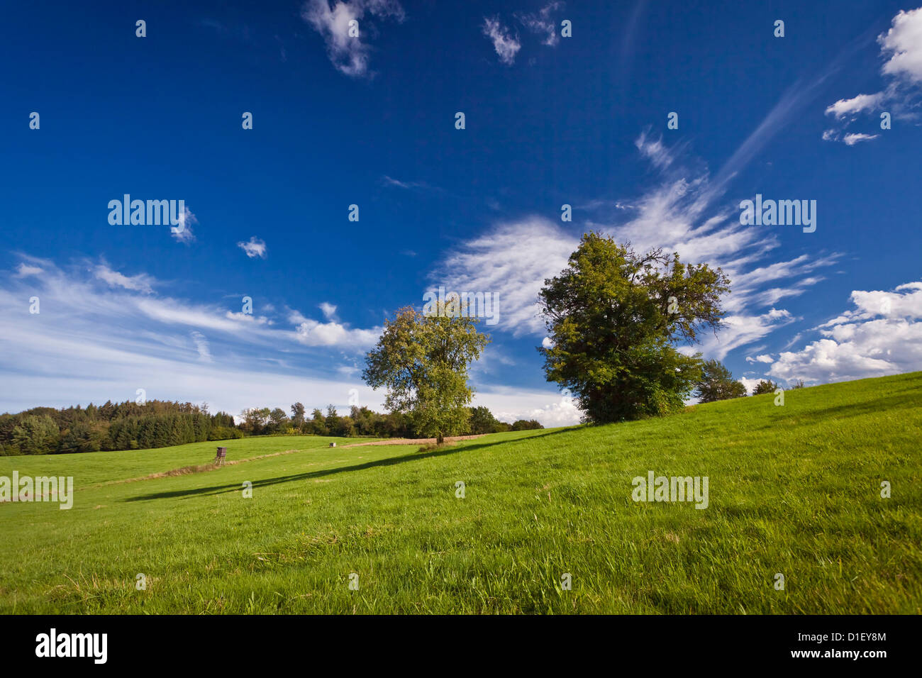 Paysage avec arbres et pâturages, région du Bergisches Land, Allemagne Banque D'Images
