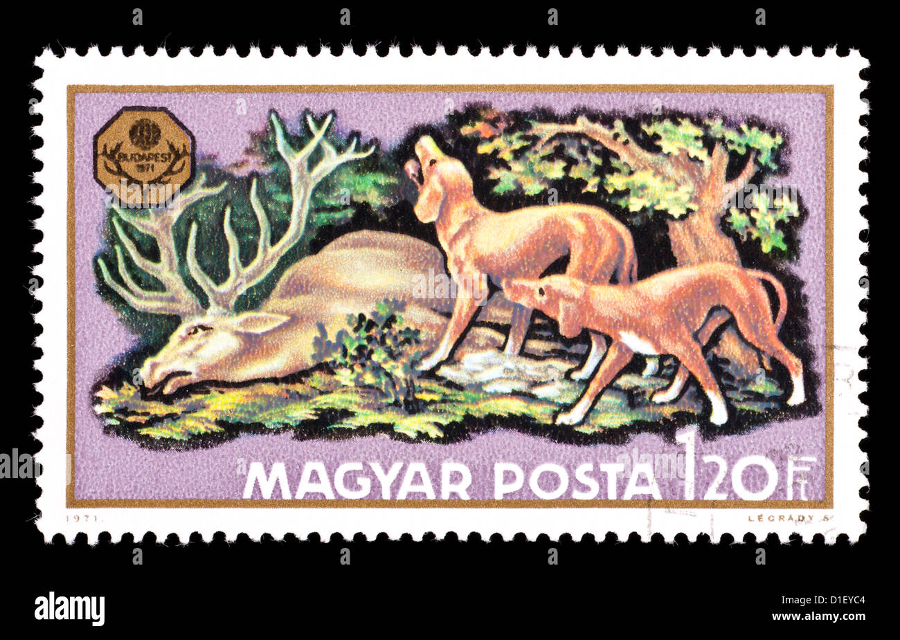 Timbre-poste de Hongrie représentant un tué le cerf et les chiens de chasse. Banque D'Images
