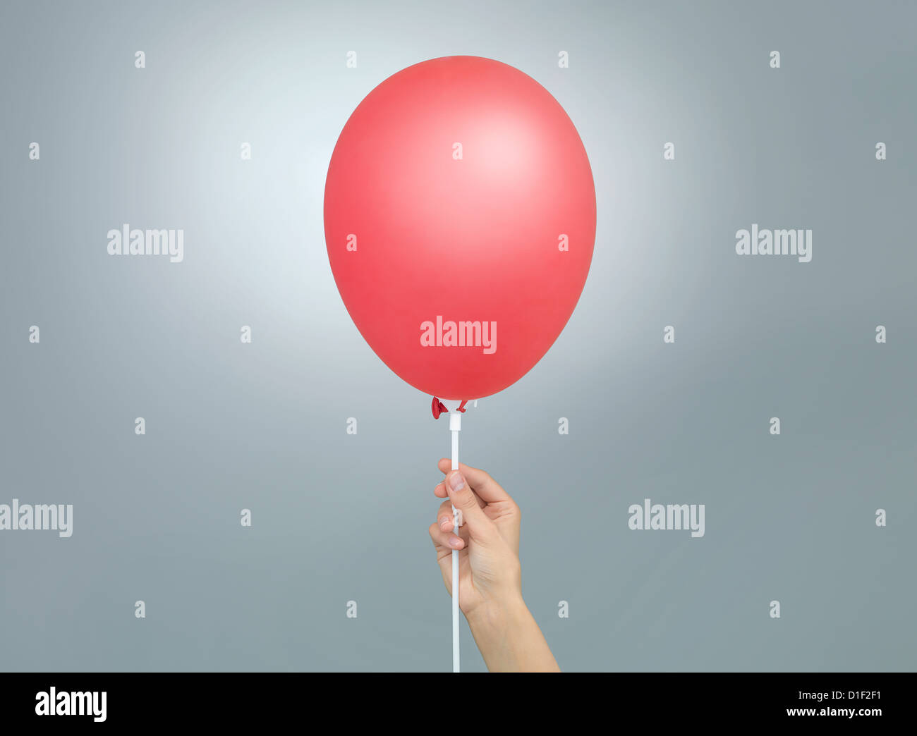 Femme main tenant un ballon rouge sur fond de dégradé de gris Banque D'Images