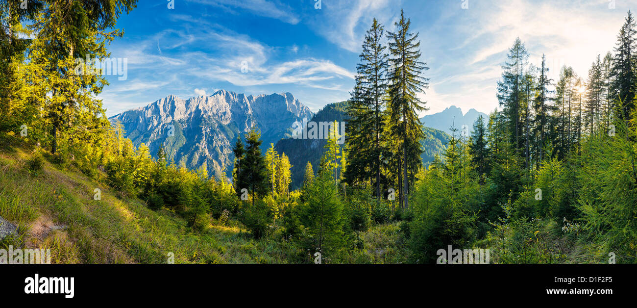 La forêt de montagne dans les Alpes, Gesause Ennstal, Styrie, Autriche Banque D'Images