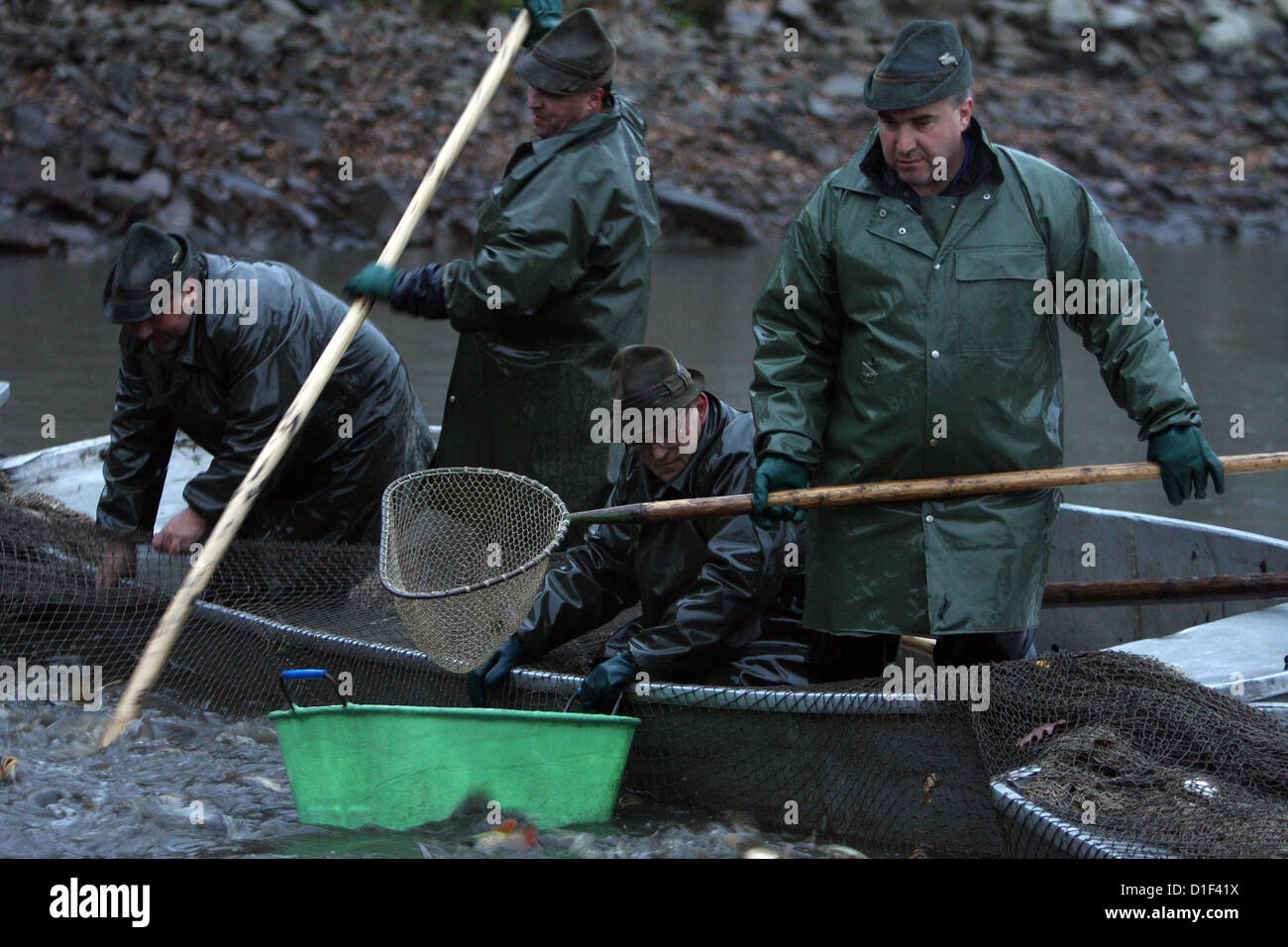 Chasse d'automne de carpes sur l'étang tchèque Rozmberk - plus grand étang en République Tchèque Banque D'Images Chasse d'automne de carpes sur l'étang tchèque Rozmberk - plus grand étang en République Tchèque Banque D'Images