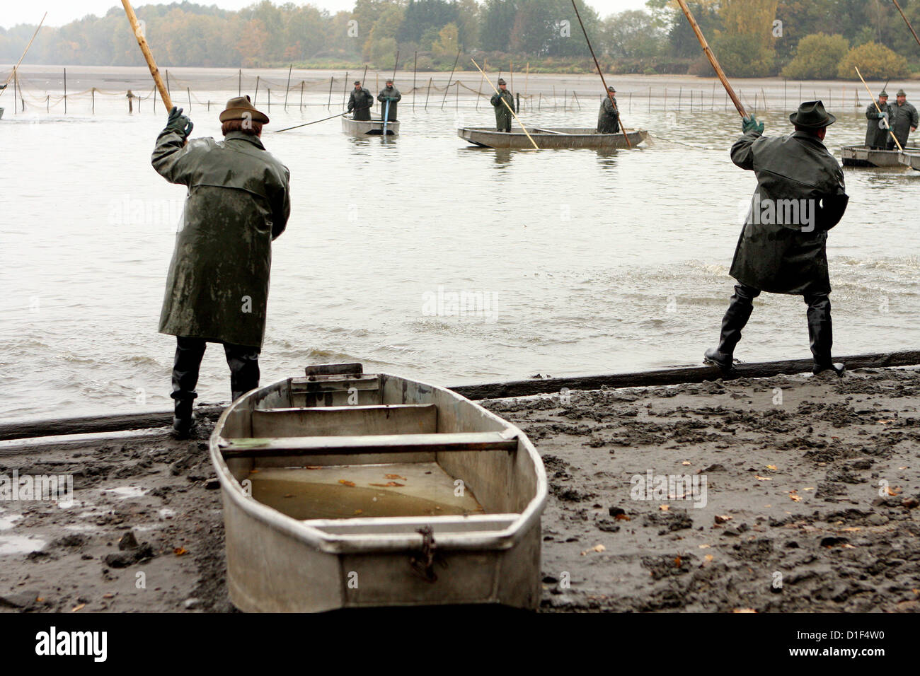 Chasse d'automne de carpes sur l'étang tchèque Rozmberk - plus grand étang en République tchèque, paysage Banque D'Images Chasse d'automne de carpes sur l'étang tchèque Rozmberk - plus grand étang en République tchèque, paysage Banque D'Images