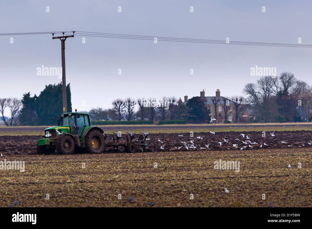Le labour d'hiver Fenland Cambridgeshire Fens Banque D'Images