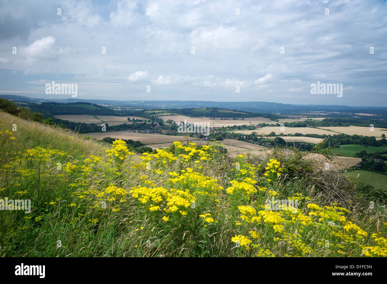 Le chemin du sud, près de South Harting, Hampshire, Angleterre, Royaume-Uni, Europe Banque D'Images