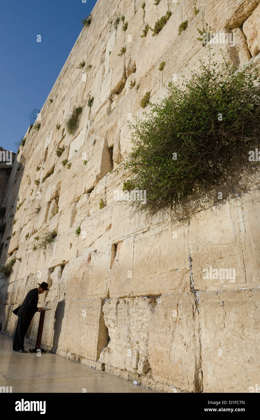 Juif orthodoxe priant au Mur occidental, vieille ville, Jérusalem, Israël, Moyen Orient Banque D'Images