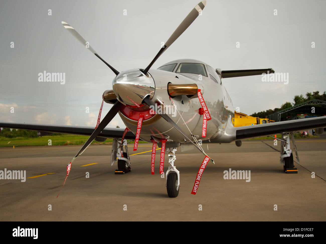 Pilatus PC-12 NG d'aéronefs de transport et de liaison de l'Armée de l'Air Finlandaise, avec de nombreux 'Enlever avant vol' les tags. Banque D'Images