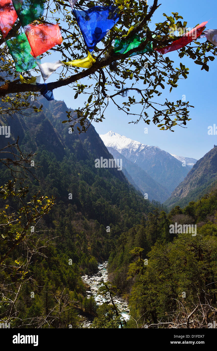 Vue sur la vallée de Langtang, Langtang National Park, Bagmati, région centrale (Madhyamanchal), Népal, Himalaya, Asie Banque D'Images