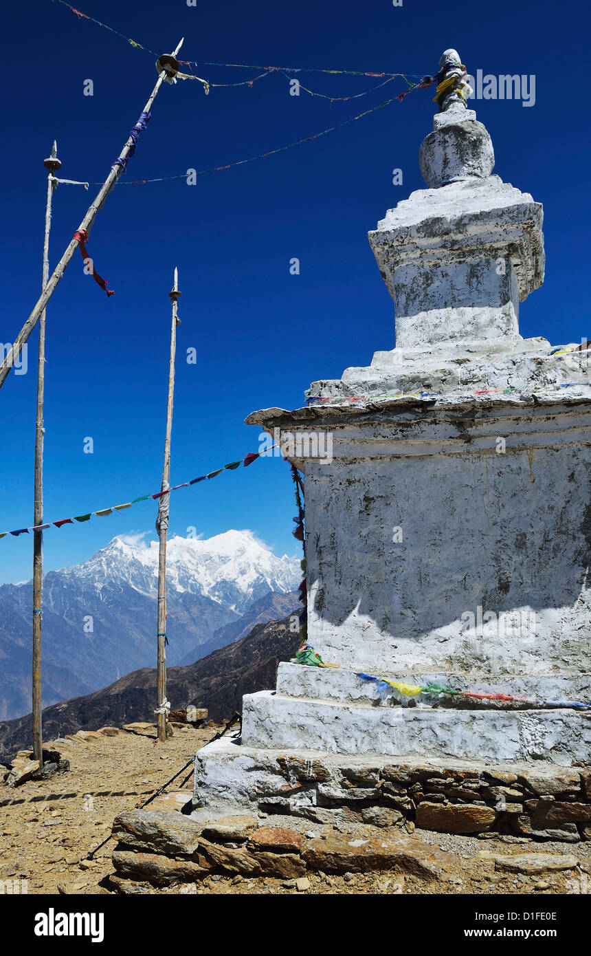 Stupa, Langtang National Park, Bagmati, région centrale (Madhyamanchal), Népal, Himalaya, Asie Banque D'Images
