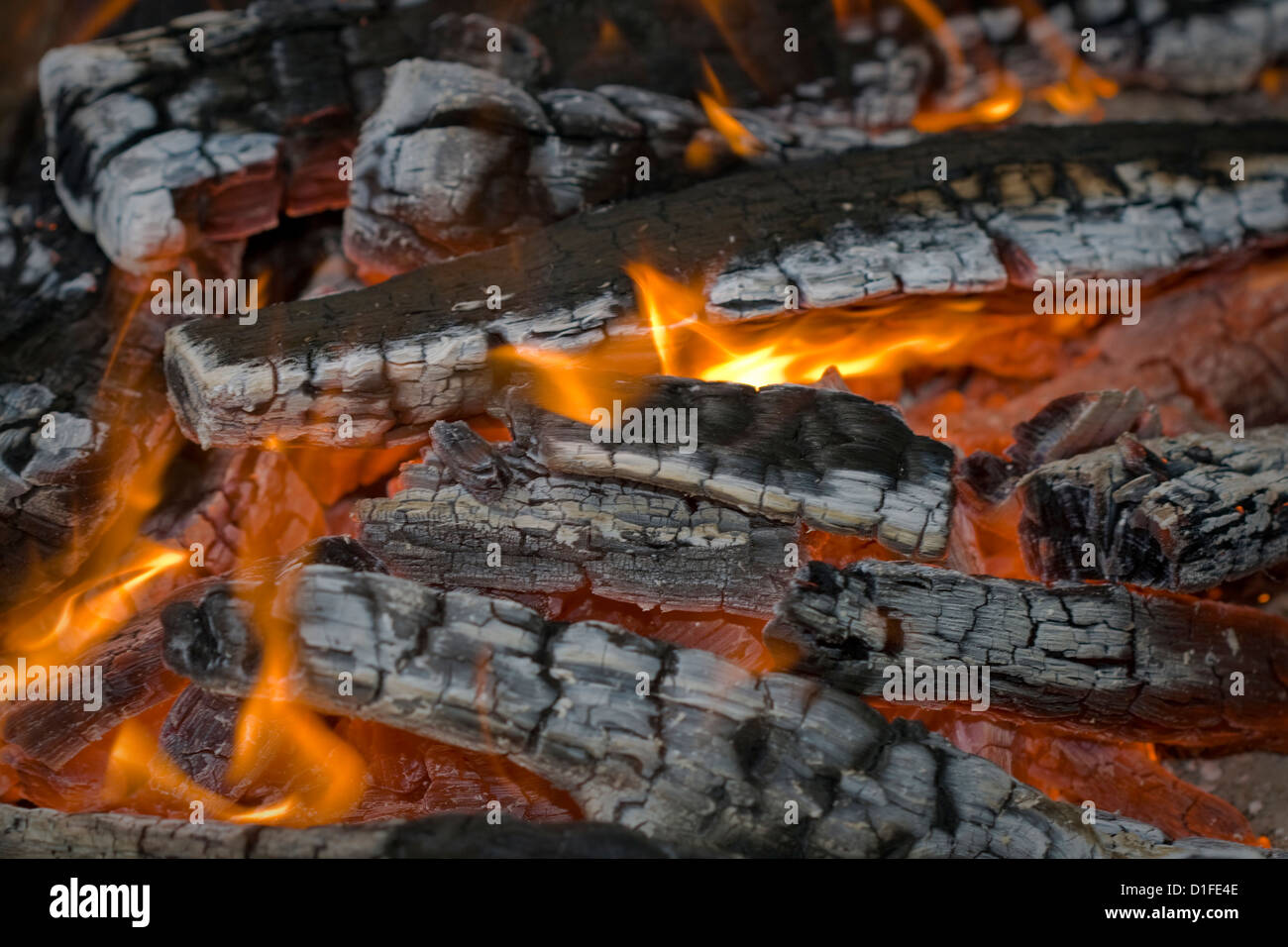 Milieu d'un feu de bois avec des flammes et des braises rougeoyantes, gros plan Banque D'Images