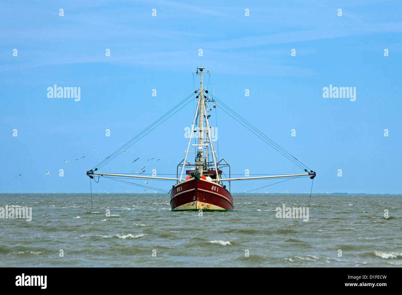 La crevette rouge bateau de pêche de crevettes dans la mer des Wadden, Frise du Nord, Allemagne Banque D'Images