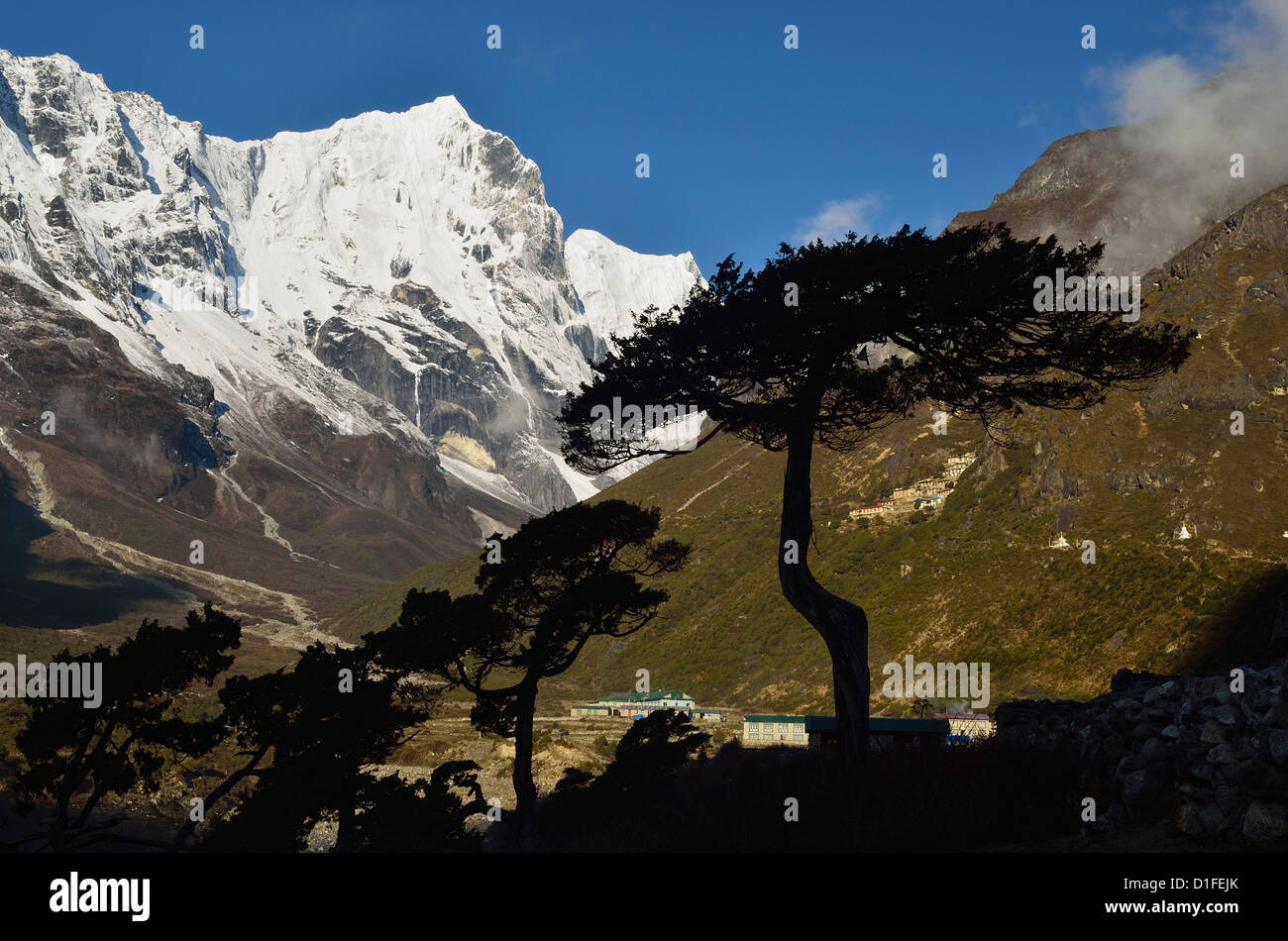 Village de Thame, parc national de Sagarmatha, district de Solukhumbu, Sagarmatha, Région de l'Est (Purwanchal), Népal, Himalaya, Asie Banque D'Images