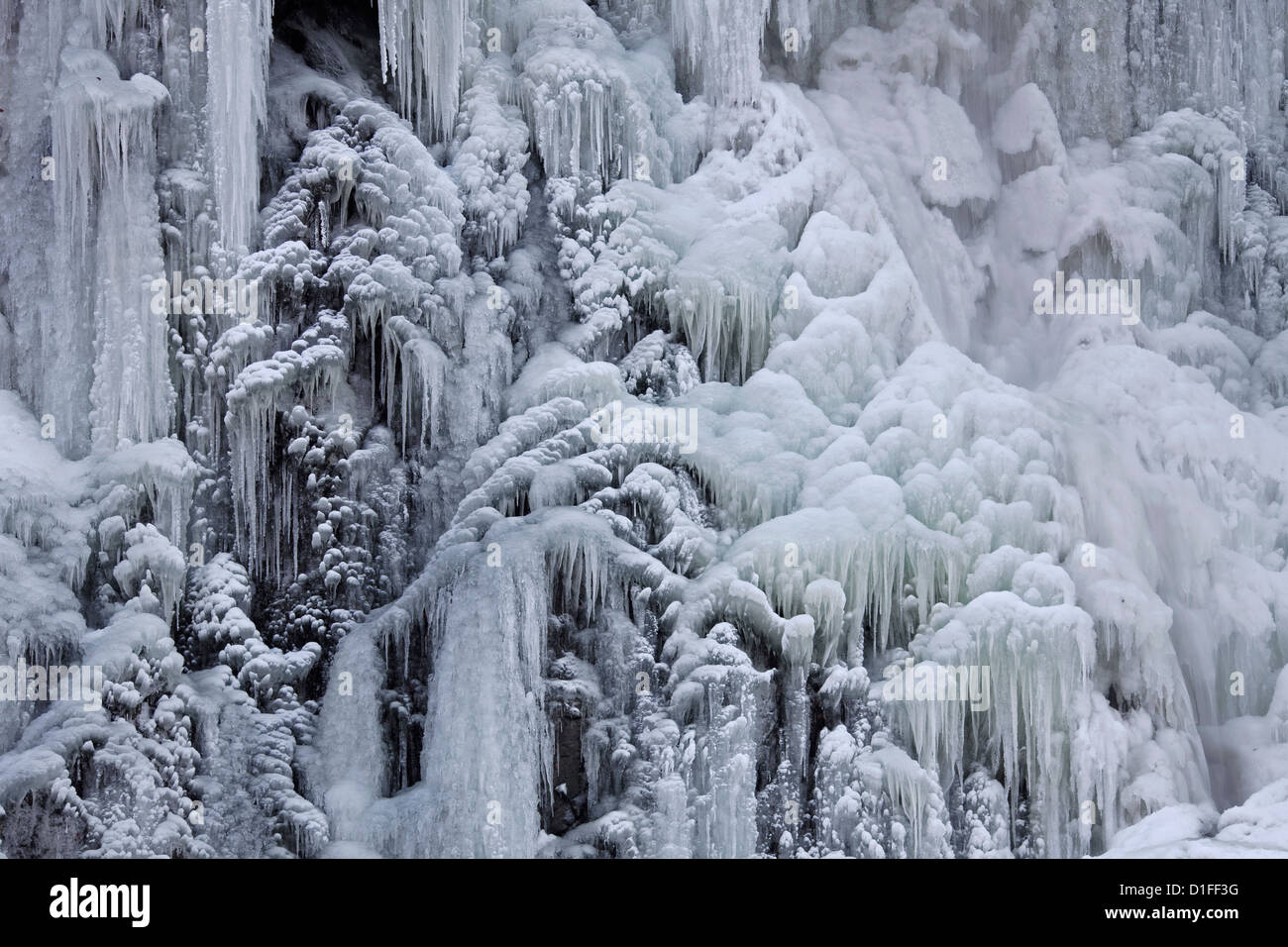 Ried 27 gelés en hiver Cascade près de Bad Harzburg, Harz, Basse-Saxe, Allemagne Banque D'Images Ried 27 gelés en hiver Cascade près de Bad Harzburg, Harz, Basse-Saxe, Allemagne Banque D'Images