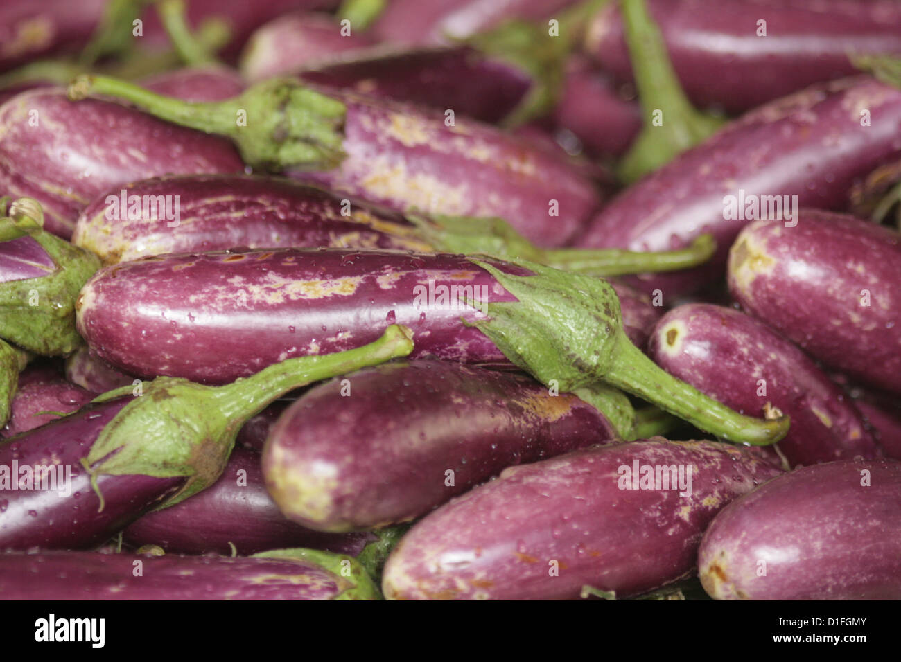 Du nom de l'aubergine en français mots, légumes de nice Banque D'Images