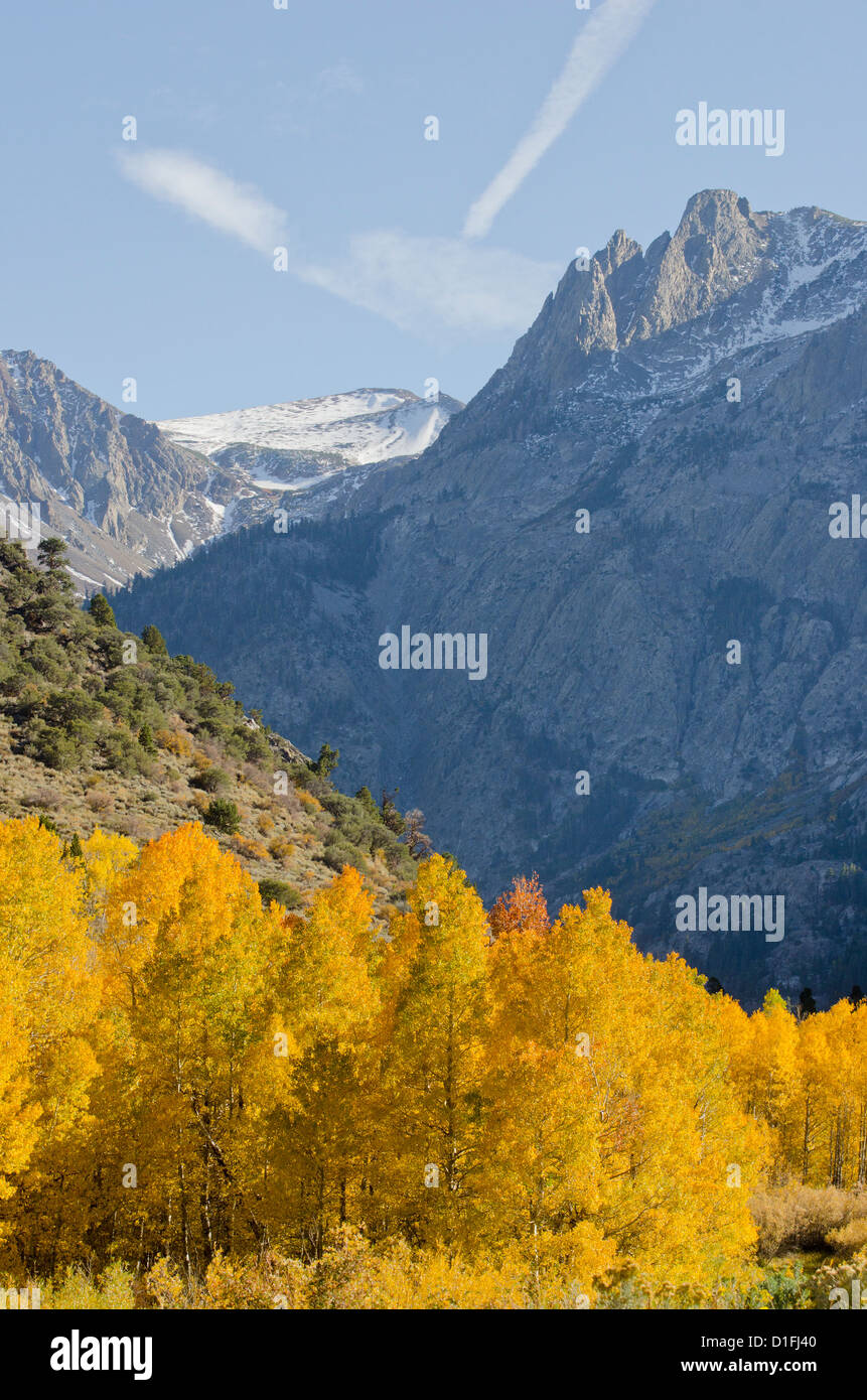 Couleurs d'automne est de la Sierra Montagnes Lac Juin près de Mammoth en Californie en boucle Banque D'Images