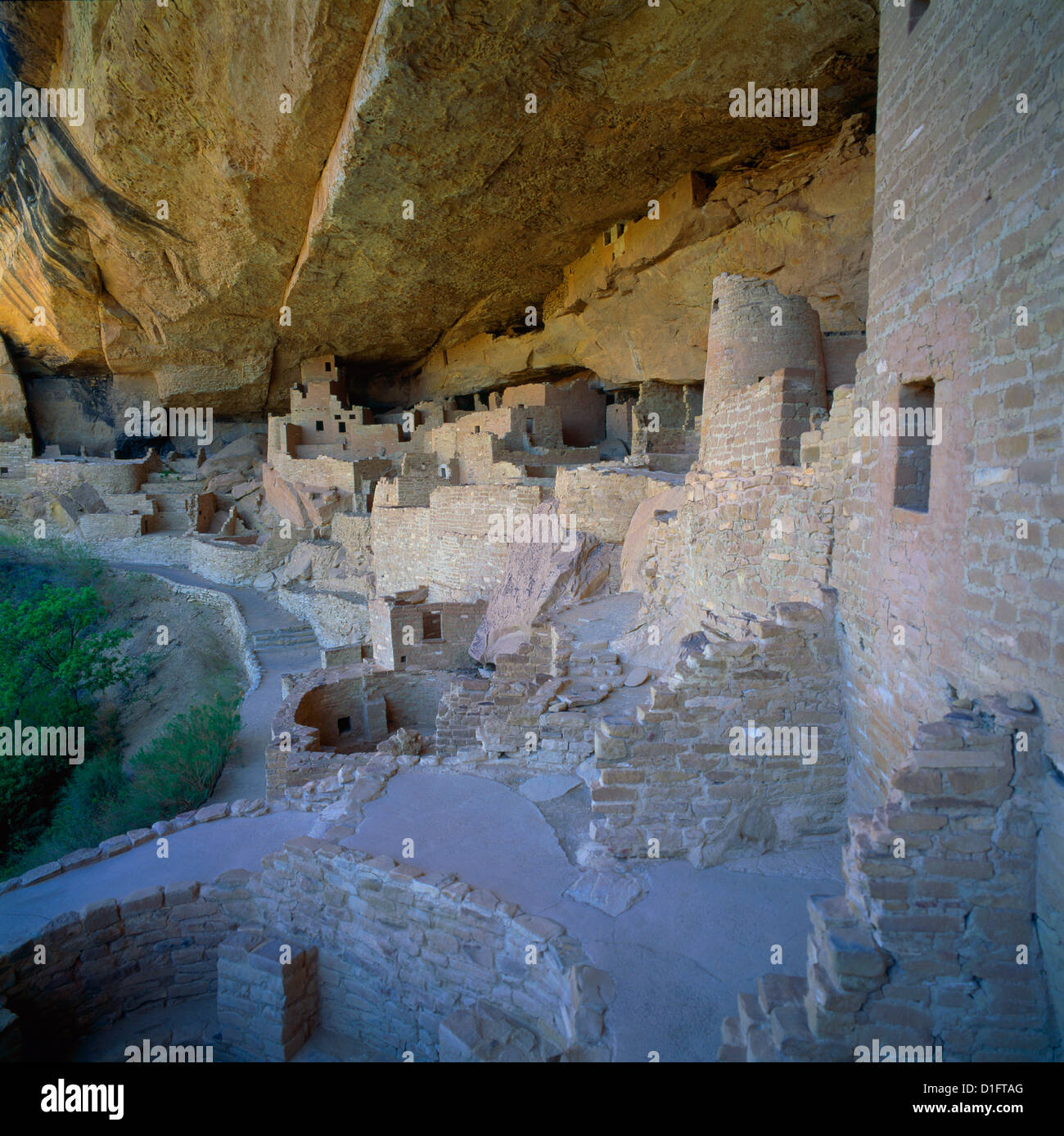 Le Parc National de Mesa Verde, Colorado, USA - Cliff Palace, une ancienne habitation Anasazi aka Puebloan et ruines, Kiva en premier plan Banque D'Images