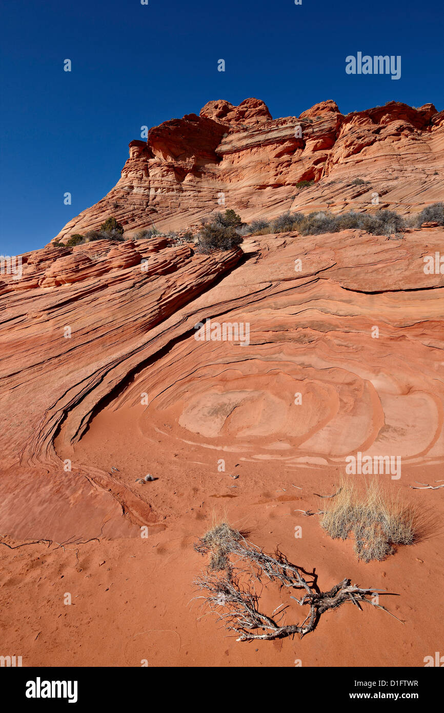 Le grès et le sable rouge, Vermillion Cliffs National Monument, Arizona, États-Unis d'Amérique, Amérique du Nord Banque D'Images
