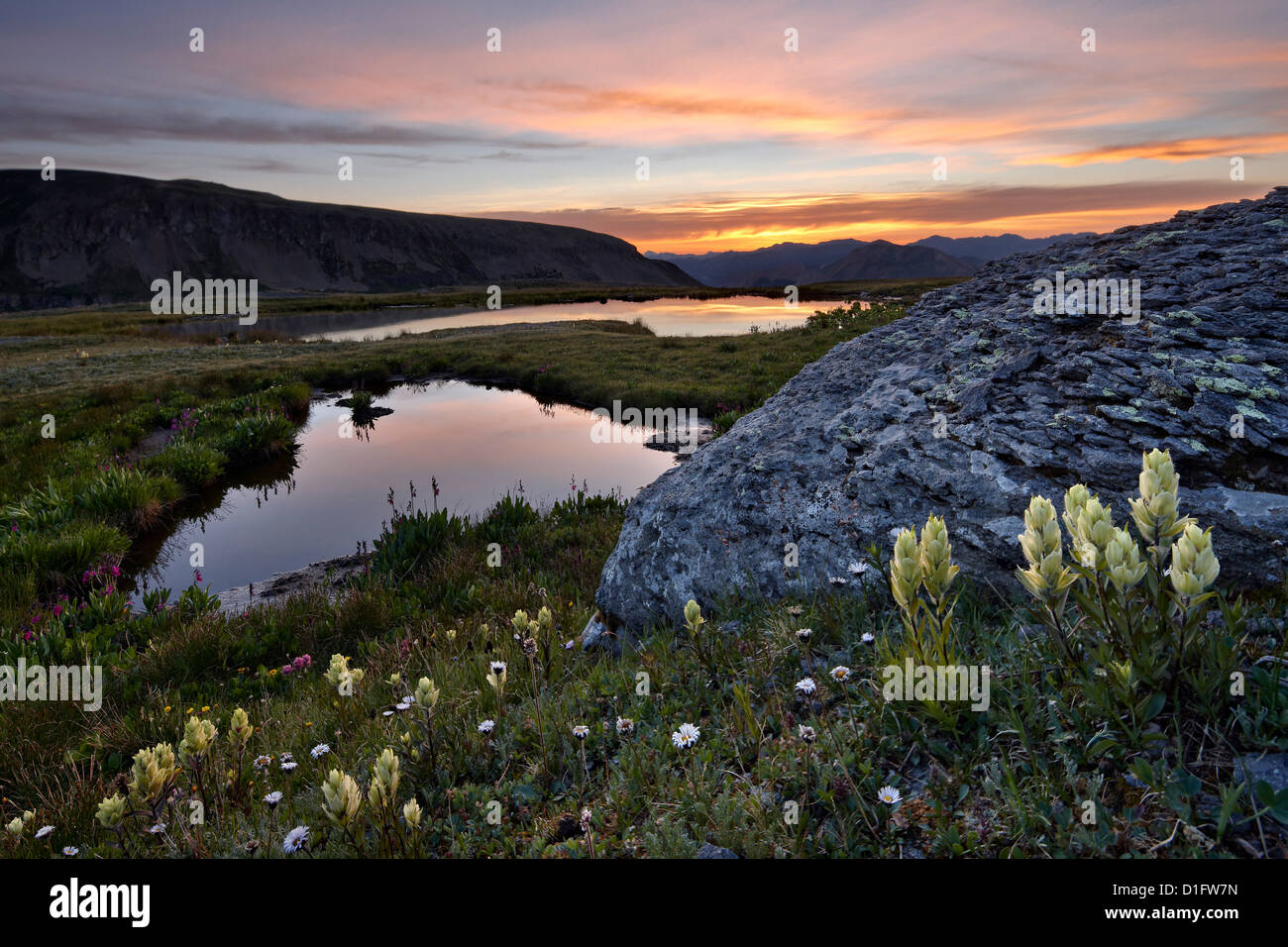 Pinceau de soufre et Alpine tarns à l'aube, San Juan National Forest, Colorado, États-Unis d'Amérique, Amérique du Nord Banque D'Images
