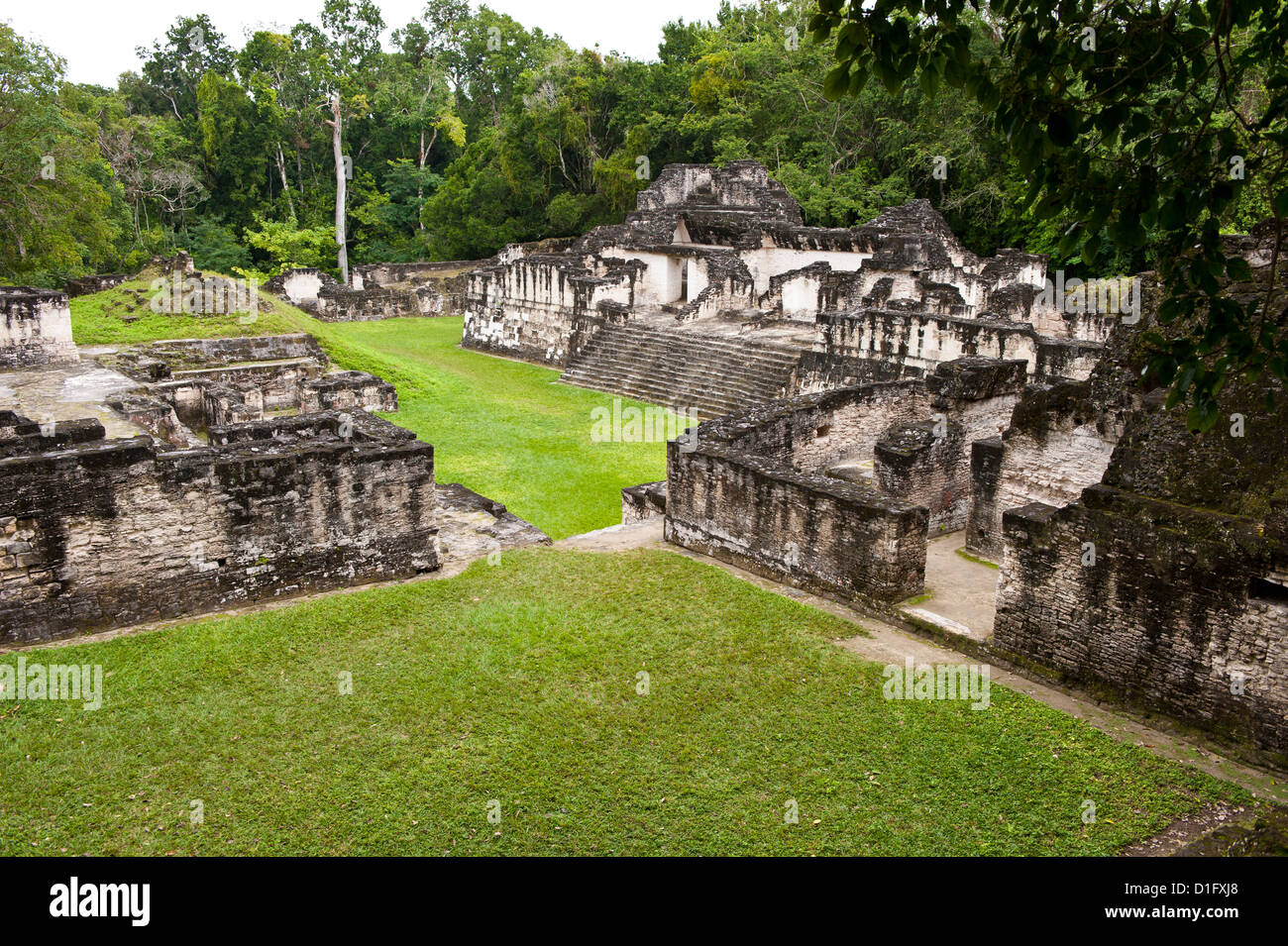 Parc national de Tikal (Parque Nacional Tikal), UNESCO World Heritage Site, Guatemala, Amérique Centrale Banque D'Images