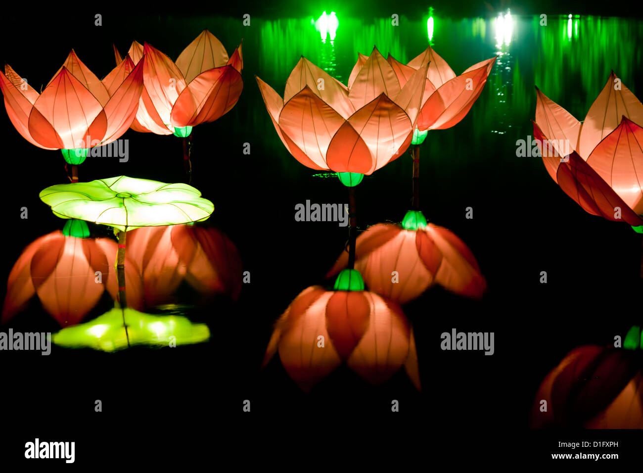 Lanternes lotus et de réflexions. Banque D'Images