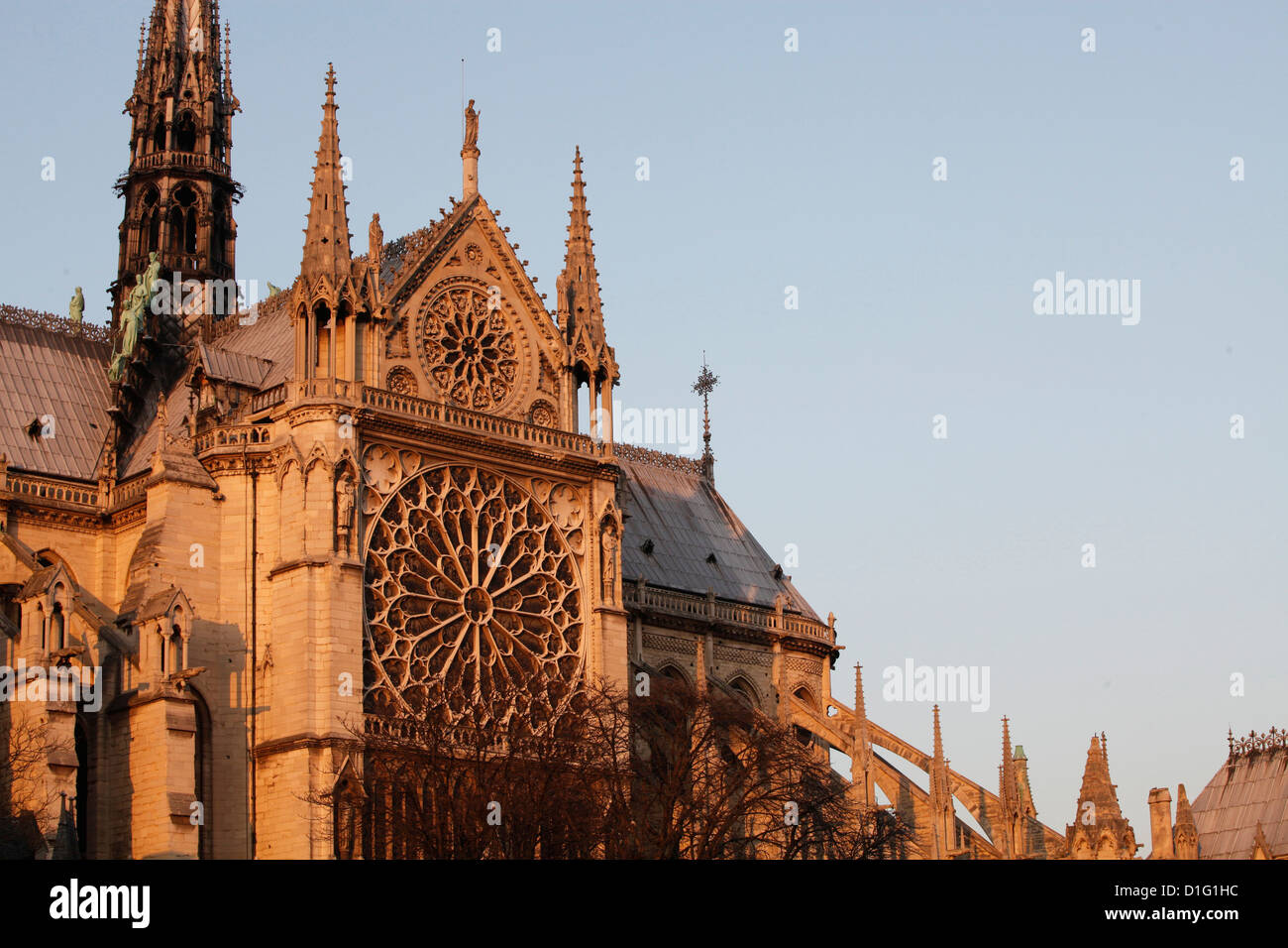 Rosace sur la façade sud, la cathédrale de Notre Dame, Paris, France, Europe Banque D'Images