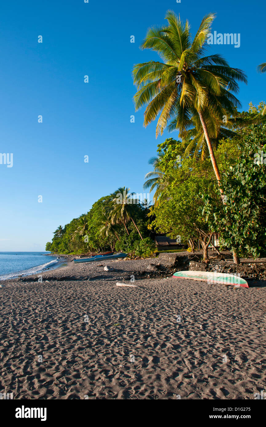 Plage sur l'île de Savo, Îles Salomon, Pacific Banque D'Images