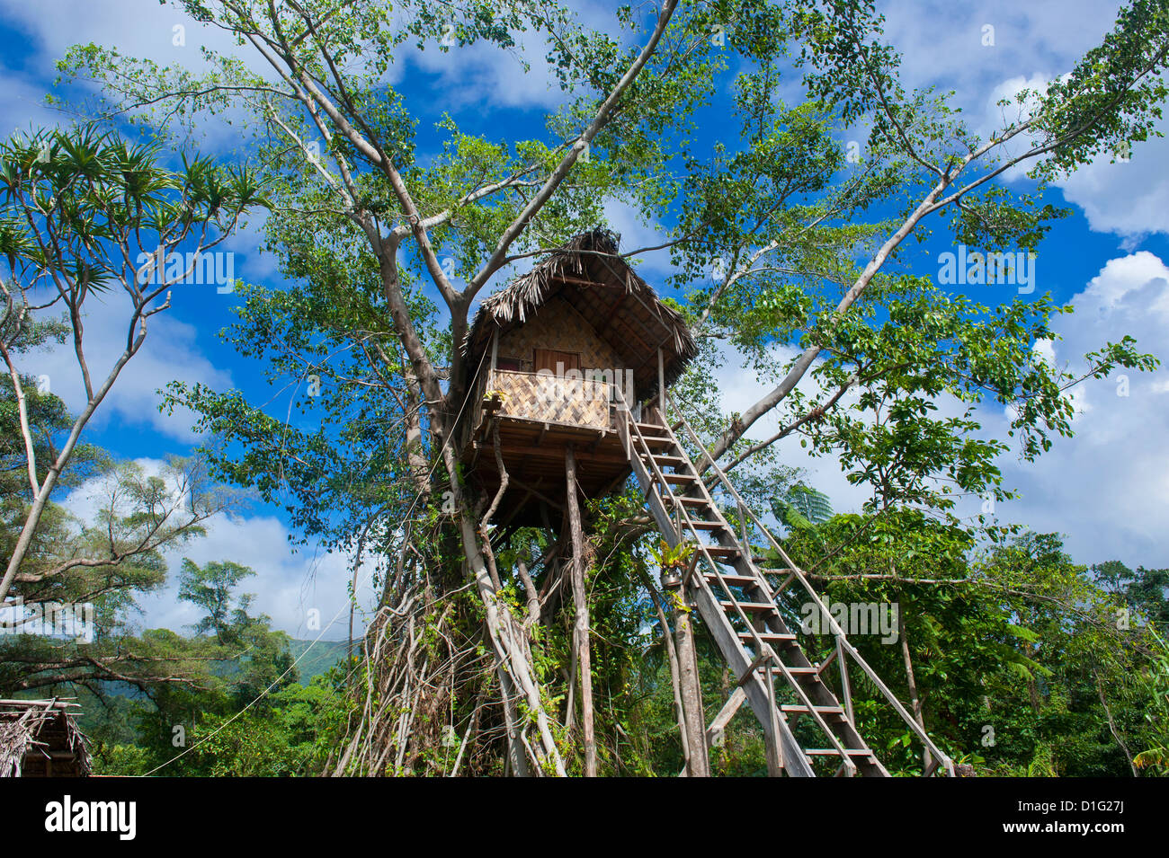 Dans une maison de l'arbre Banyan Tree au-dessous du volcan, Yasur île de Tanna, Vanuatu, Pacifique Sud, Pacifique Banque D'Images